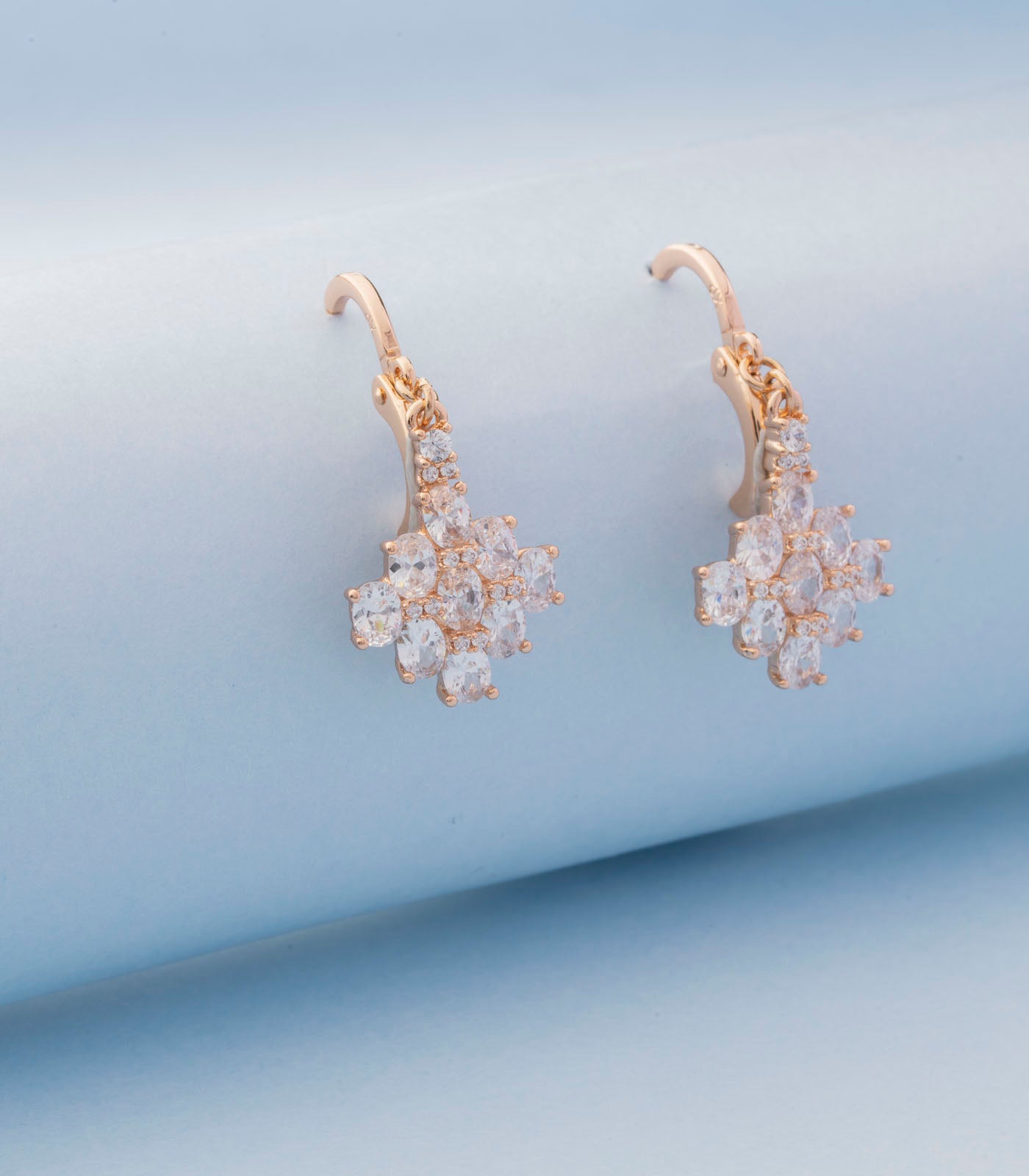 Angelfish pond earrings (Brass)