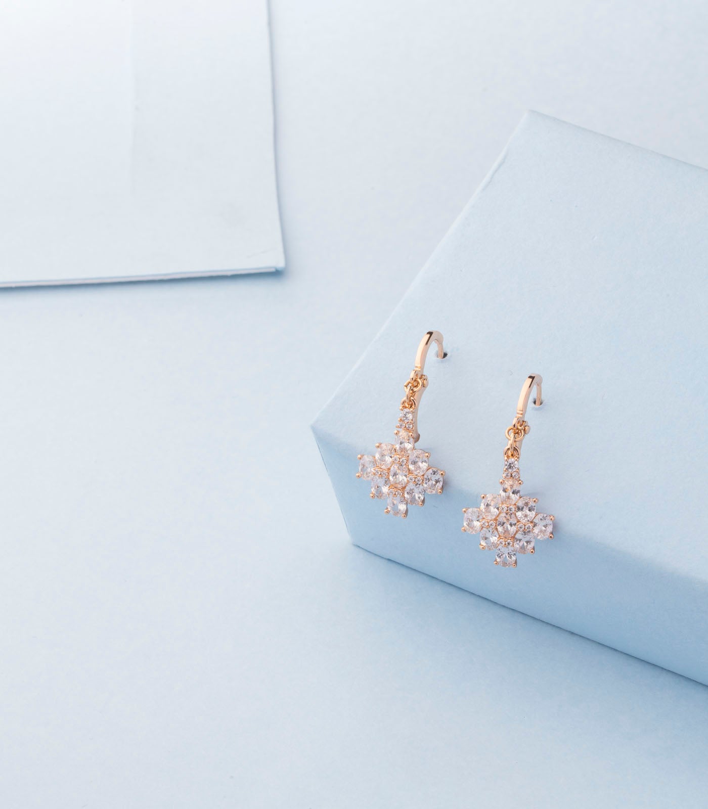 Angelfish pond earrings (Brass)