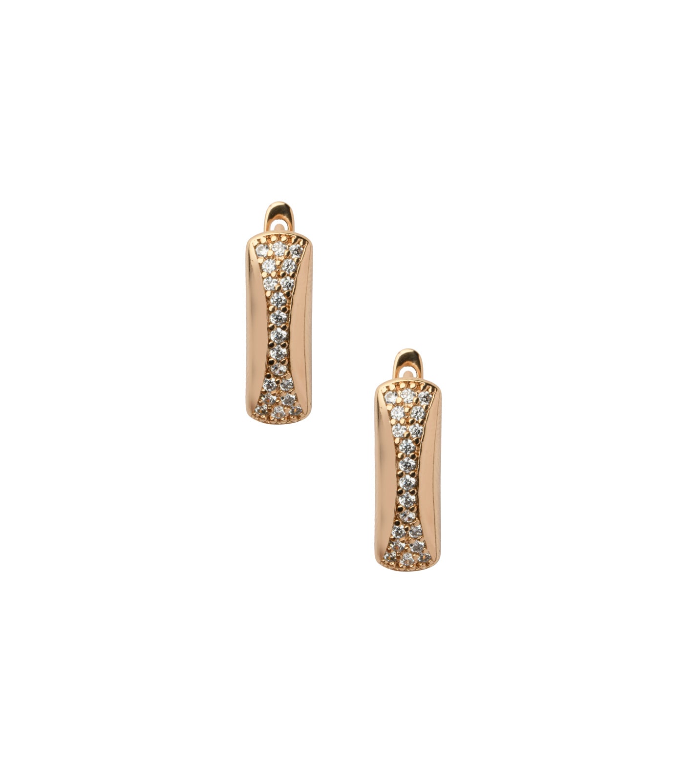 Shining Stand Earrings (Brass)