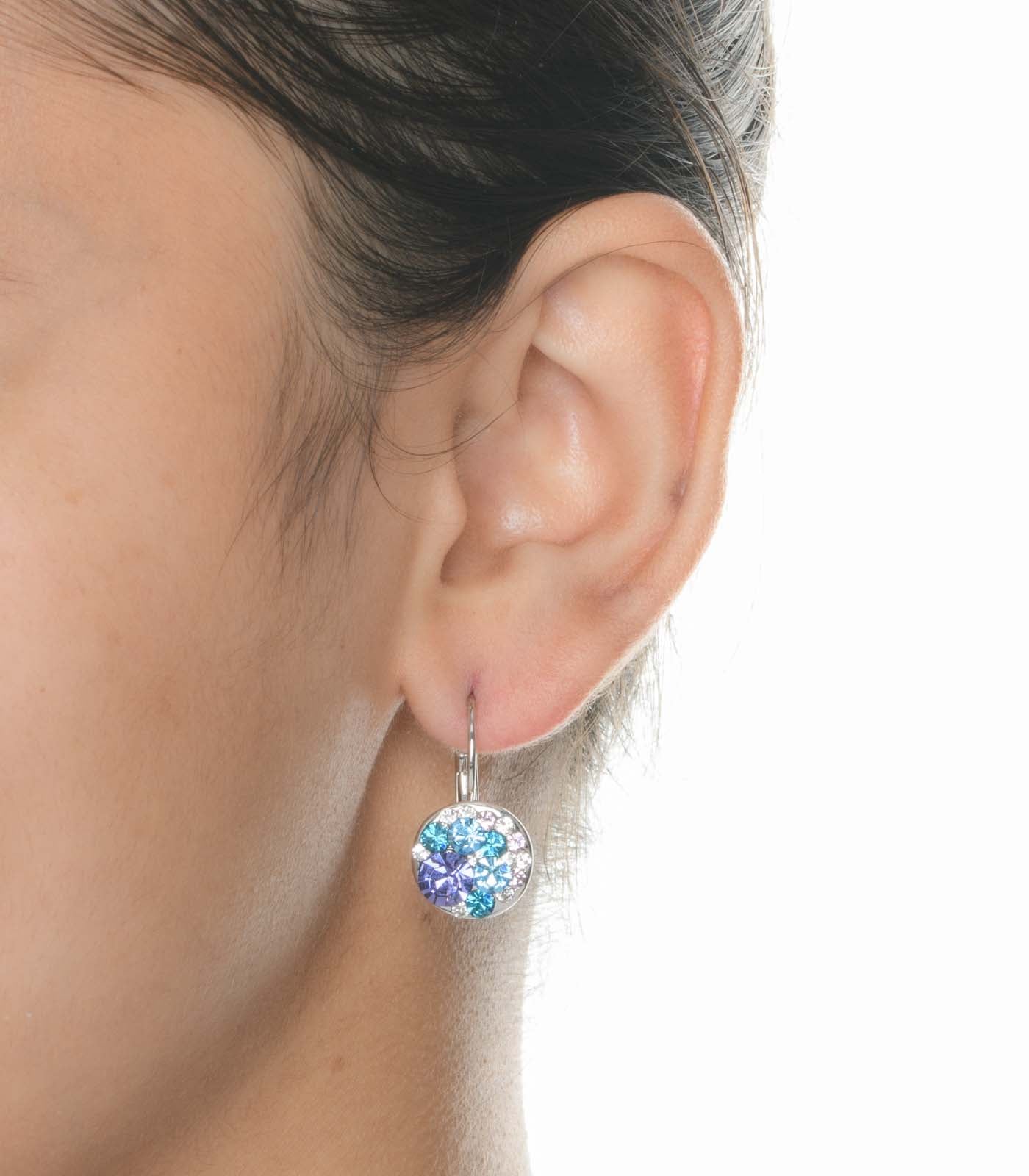 Forzen Crystal Earrings (Brass)