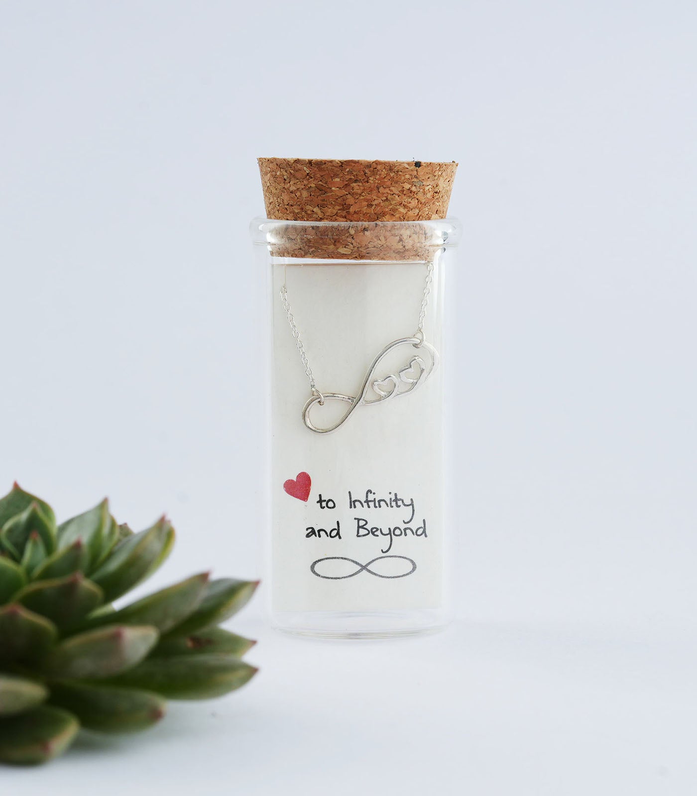 Infinity & Heart Pair Silver Necklace