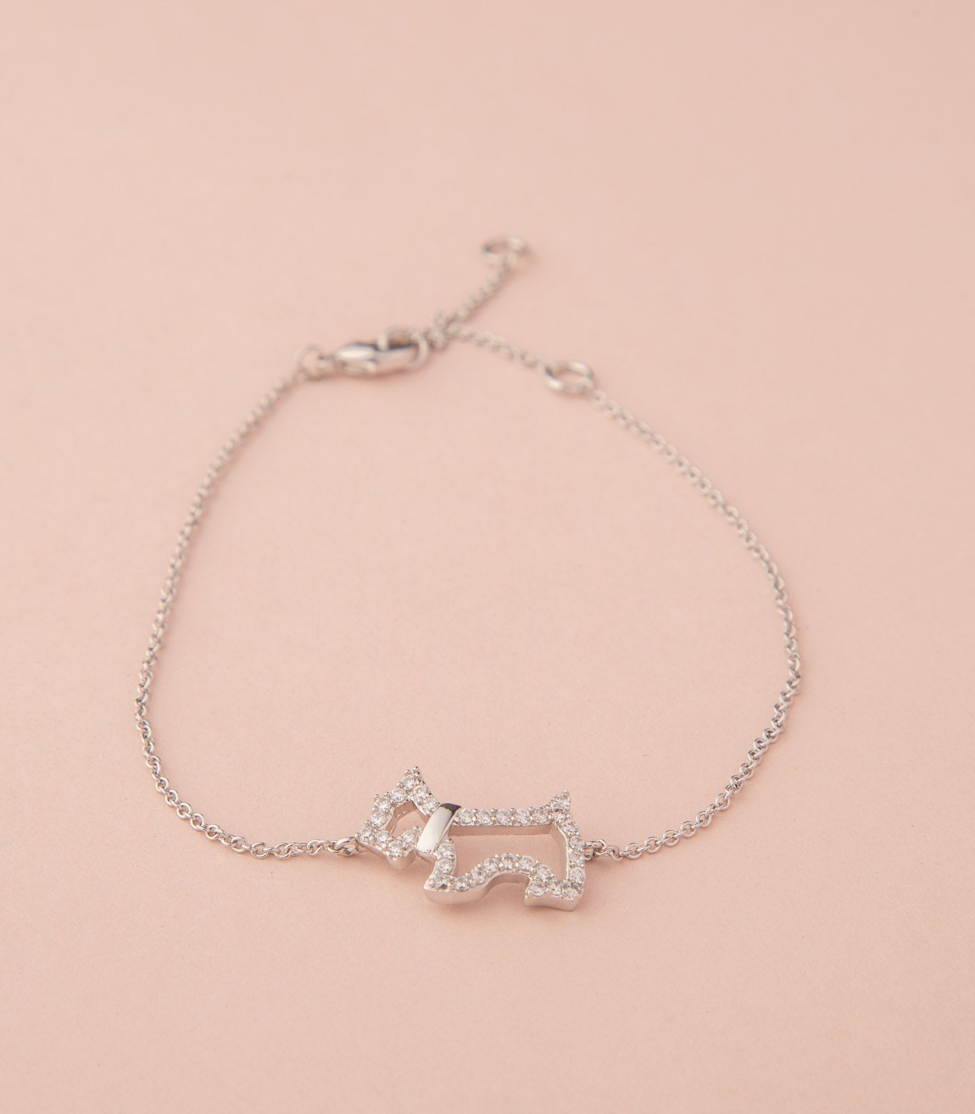 Multipurpose Anklet / Bracelet (Brass)