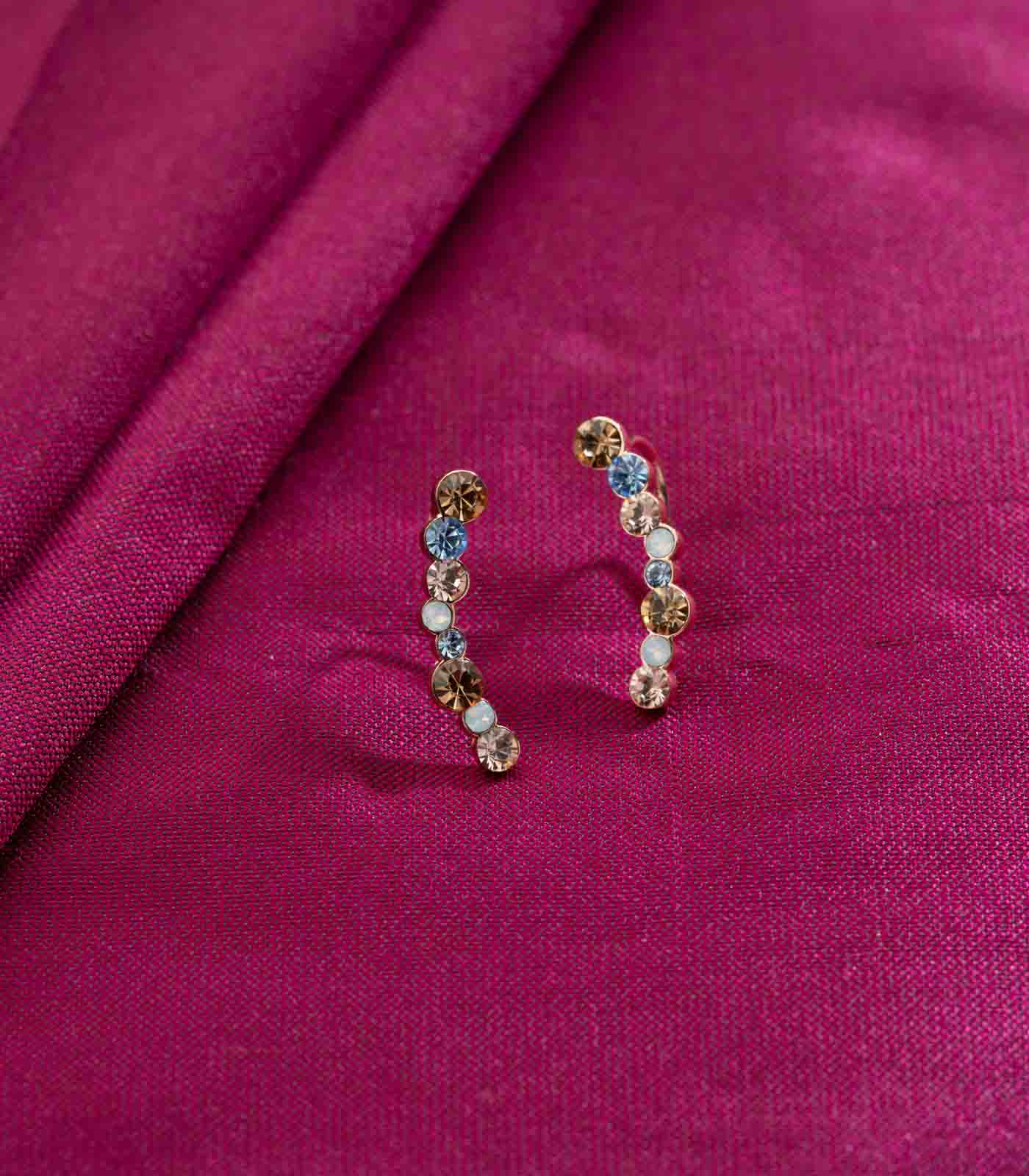 Multicoloured Earrings (Brass)