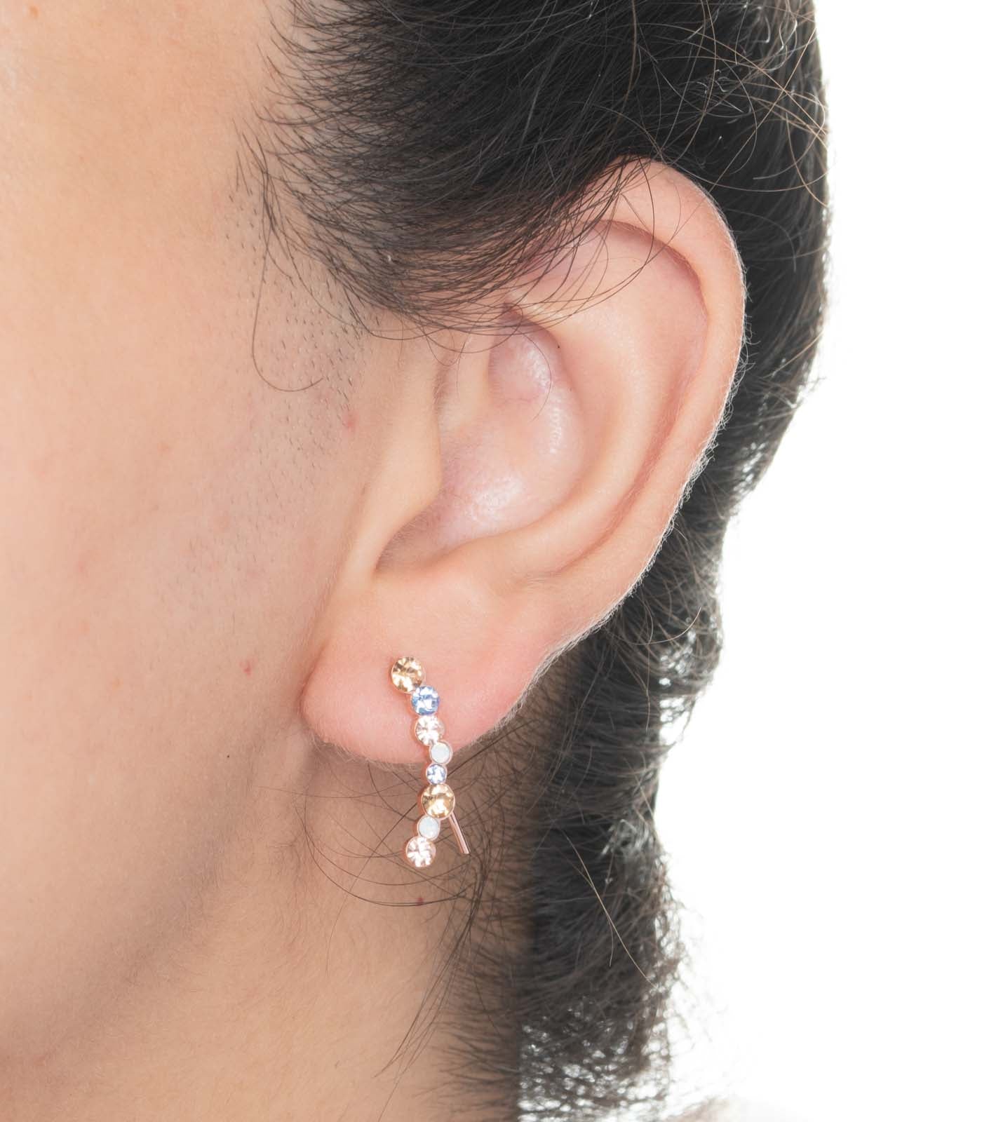 Multicoloured Earrings (Brass)