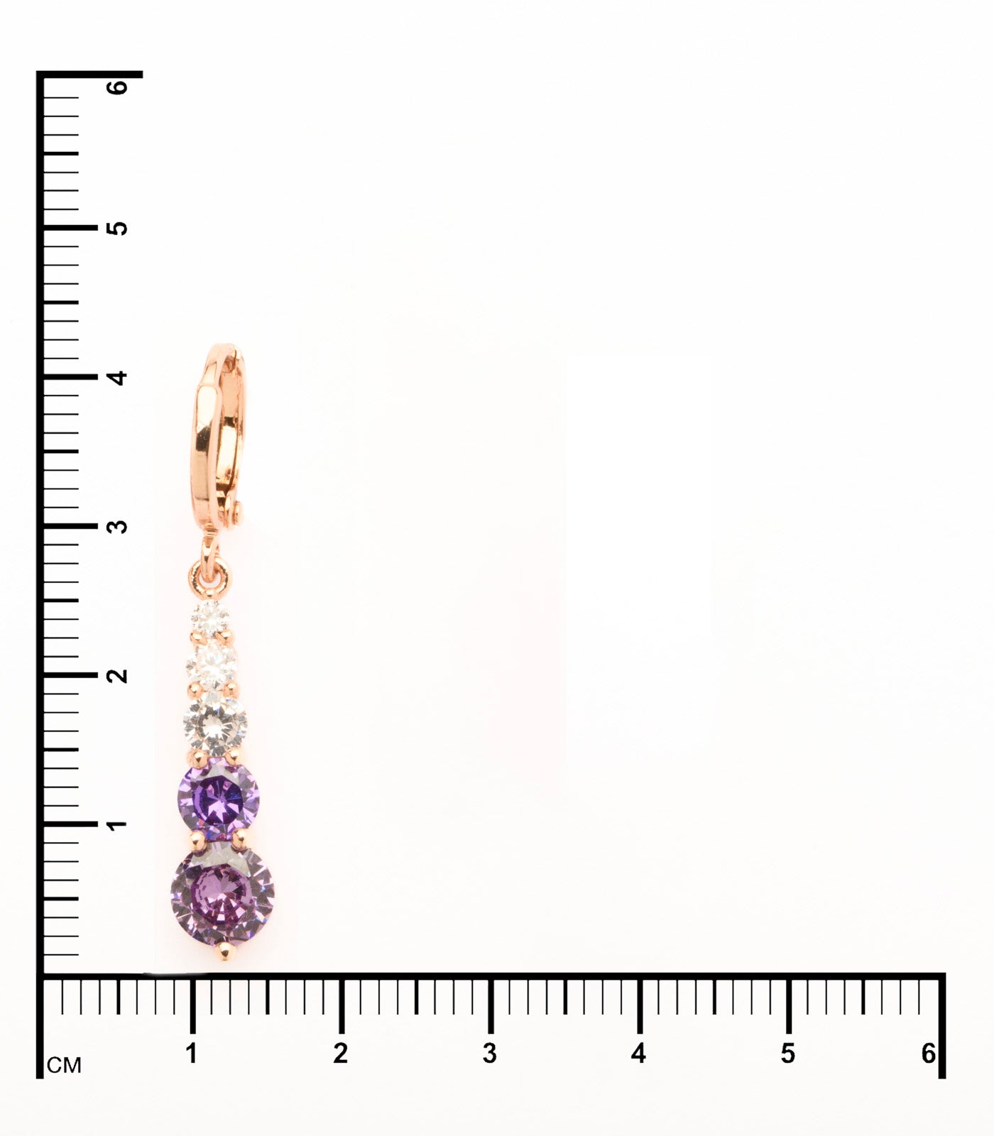 Decorative Trail Of The Shiny Purple Stones Earrings (Brass)