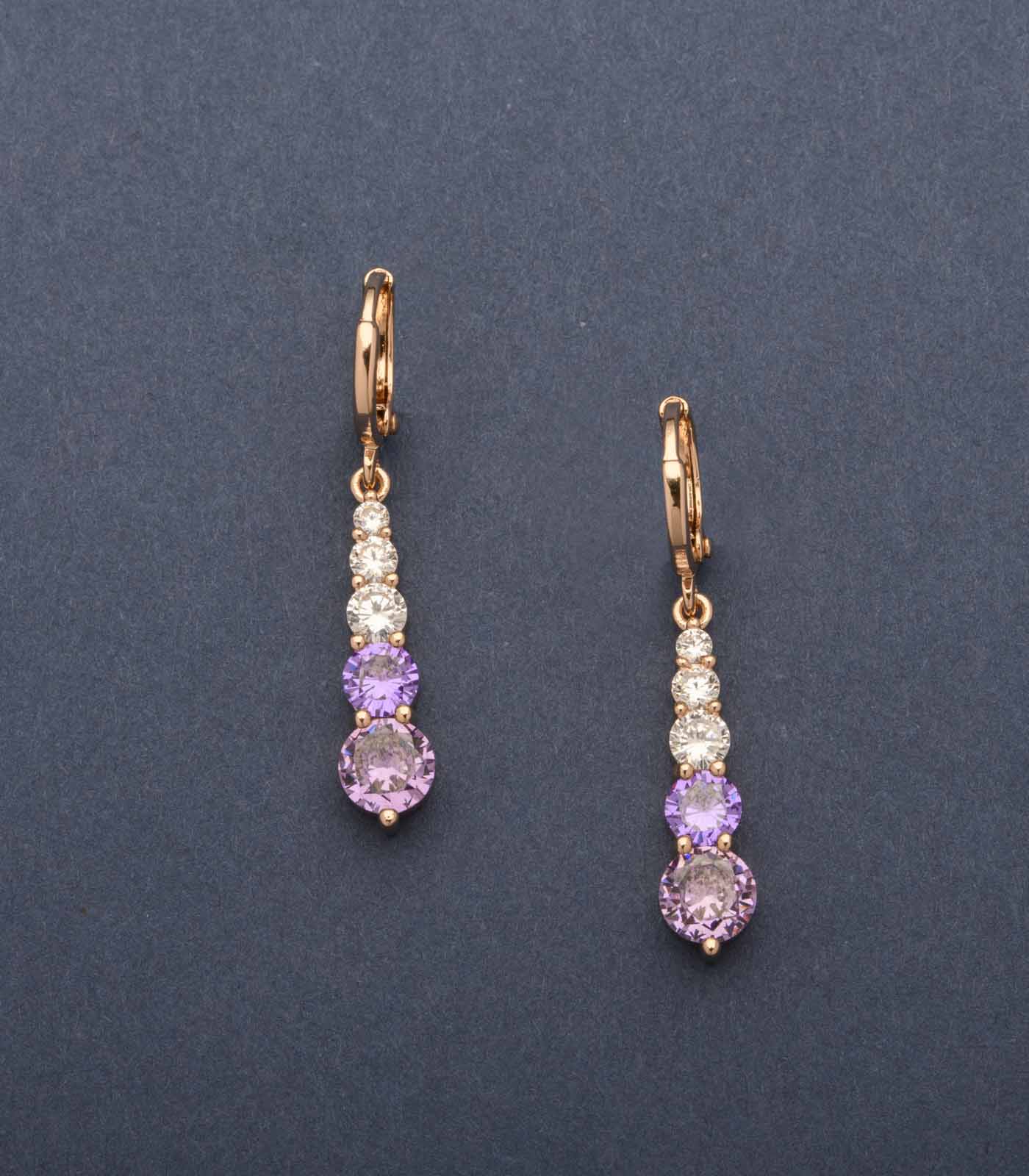 Decorative Trail Of The Shiny Purple Stones Earrings (Brass)