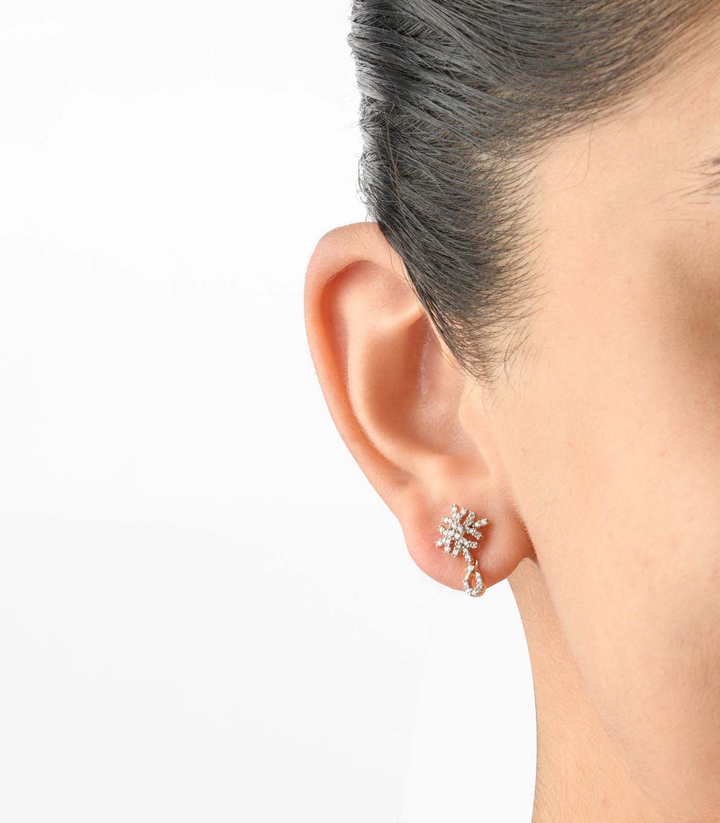 Diamond Frosty Elegance Earrings