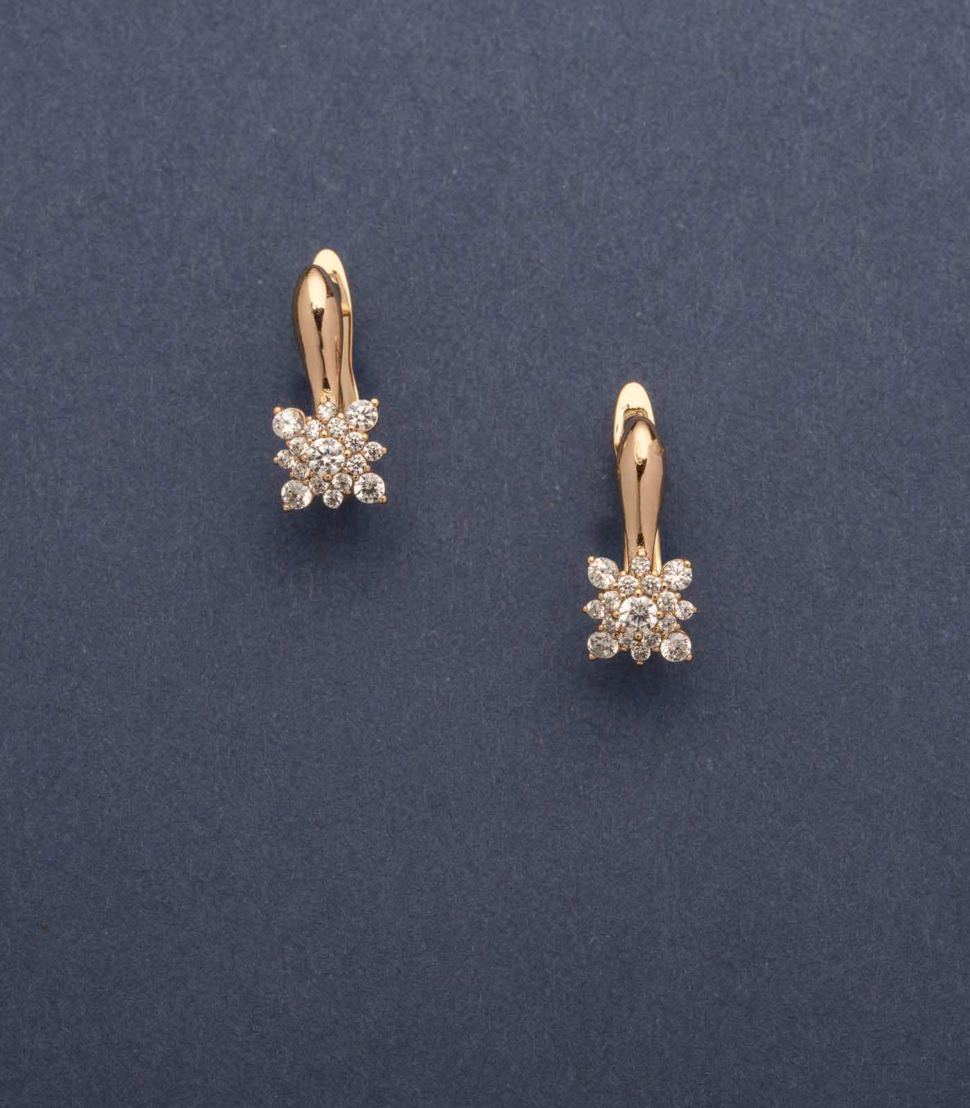 Exquisite Flowers Of The Sparkly Gems Earrings (Brass)