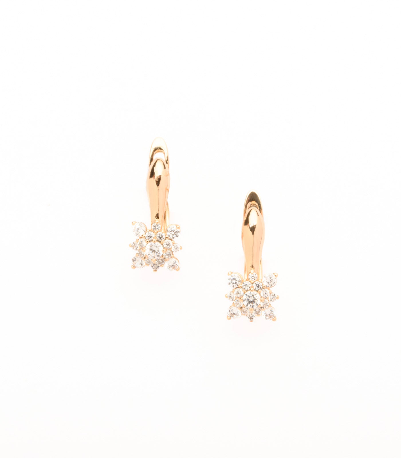 Exquisite Flowers Of The Sparkly Gems Earrings (Brass)