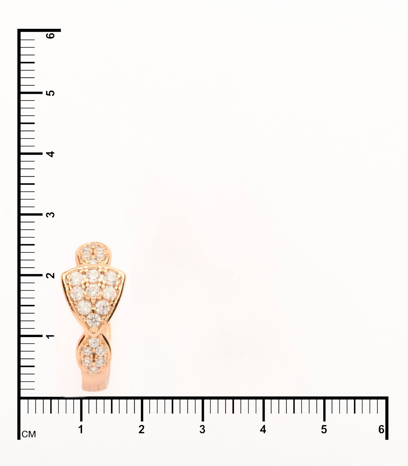 Fine Looking Beautiful Flowers Of Brass Earrings (Brass)