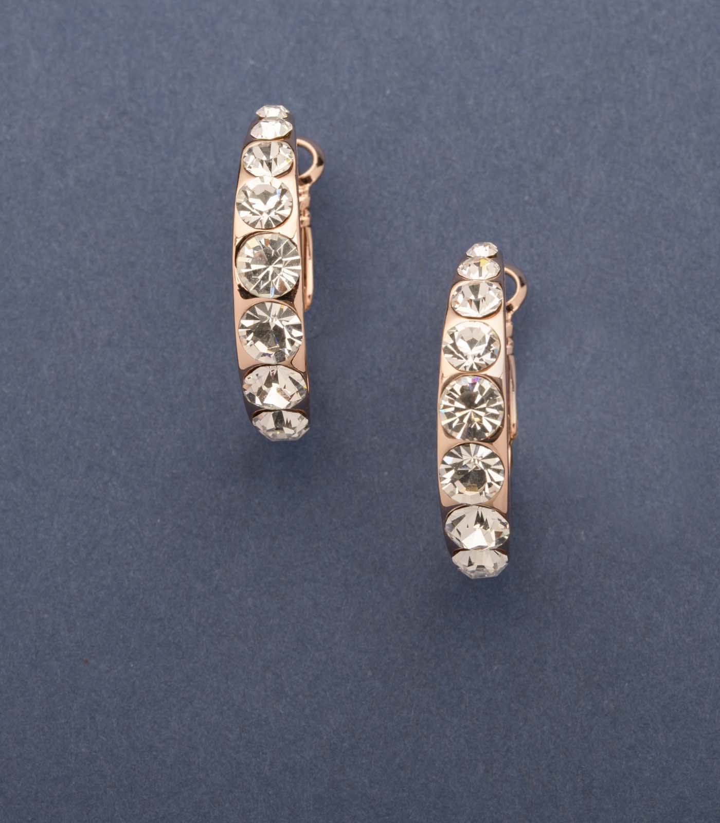 Shiny Brass Plate Of The Sparkling Stones Earrings (Brass)